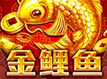 图片加载中..