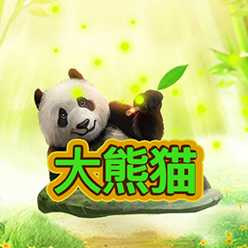图片加载中..