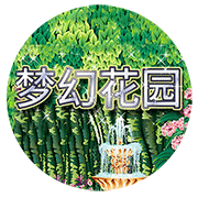 图片加载中..