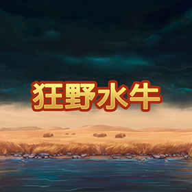 图片加载中..